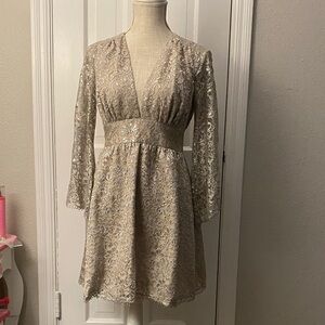 Chic Long Sleeve Lace Dress in Beige